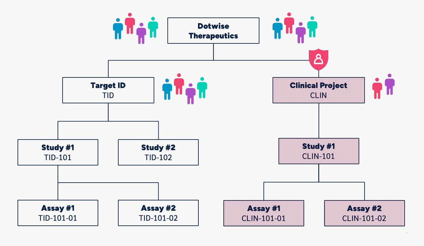 project hierarchy